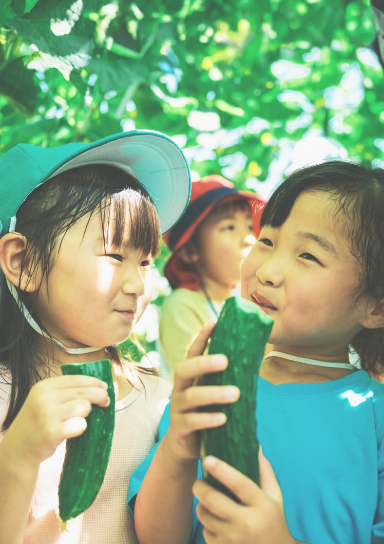 農園のイメージ